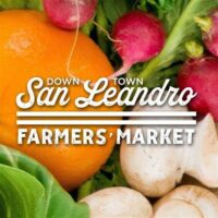 Provided by Facebook